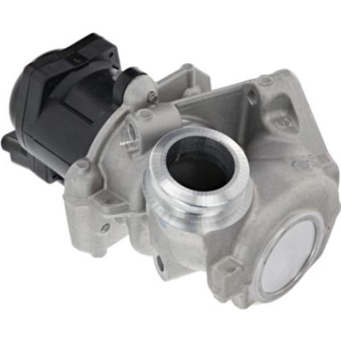 AGR-Ventil 700474