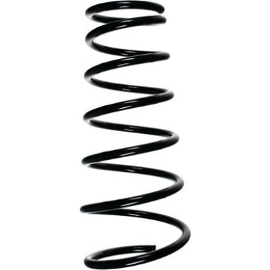 SPIDAN Fahrwerksfeder 55036