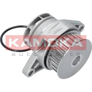 KAMOKA Wasserpumpe T0249 KAMOKA Wasserpumpe T0249