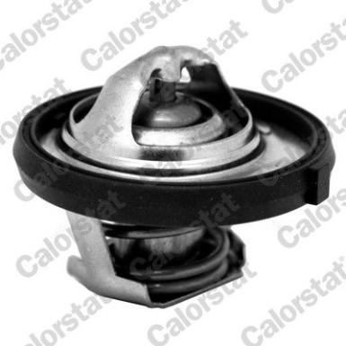 Thermostat, Kühlmittel TH7311.95J