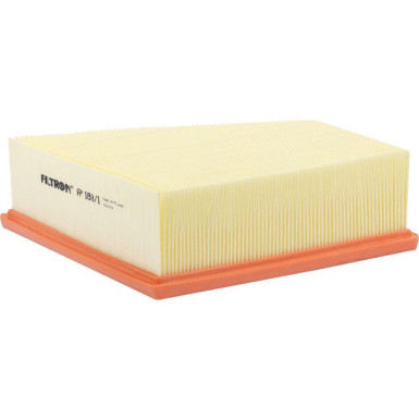 FILTRON Luftfilter AP 189/1