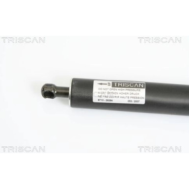 Gasfeder, Koffer-/Laderaum 871029264