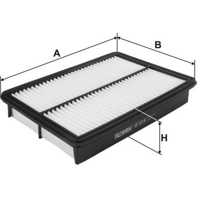 FILTRON Luftfilter AP 113/6