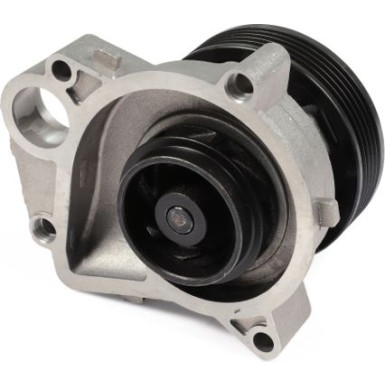 HEPU Wasserpumpe P463 HEPU Wasserpumpe P463