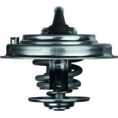 Thermostateinsatz mit Dichtung TX 30 92D