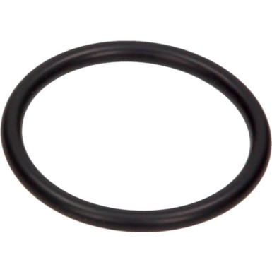 O-Ring Der Zündspule Fiat Doblo, Panda, Punto, Palio, Tipo, Uno 1.1/1.2 14463980