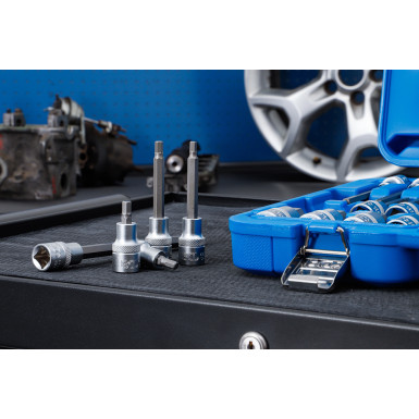 BGS Bit-Einsatz-Satz Antrieb Innenvierkant 12,5 mm (1/2 ) Innensechskant 30-tlg 5181 BGS Bit-Einsatz-Satz Antrieb Innenvierkant 12,5 mm (1/2 ) Innensechskant 30-tlg 5181