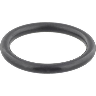 Dichtring 103007