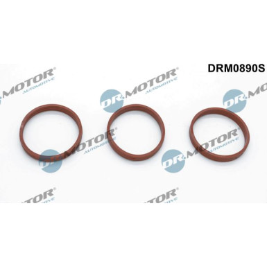 DR.MOTOR Dichtungssatz, Ansaugkrümmer DRM0890S DR.MOTOR Dichtungssatz, Ansaugkrümmer DRM0890S