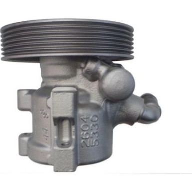 SPIDAN Hydraulikpumpe 53917 SPIDAN Hydraulikpumpe 53917