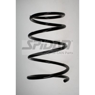 SPIDAN Fahrwerksfeder 49534 SPIDAN Fahrwerksfeder 49534