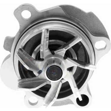 VAICO Wasserpumpe V10-50052