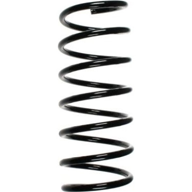 SPIDAN Fahrwerksfeder 49260