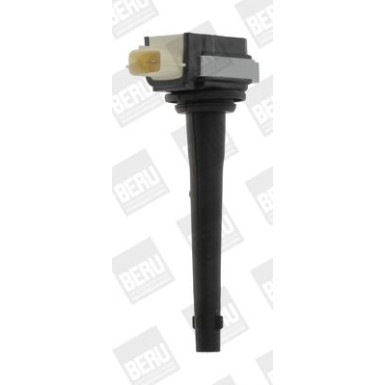 BorgWarner (BERU) Zündspule ZSE161