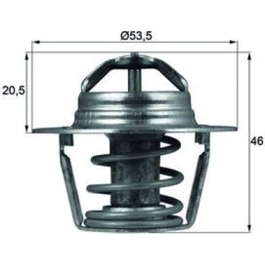 Thermostateinsatz mit Dichtung TX 91 89D