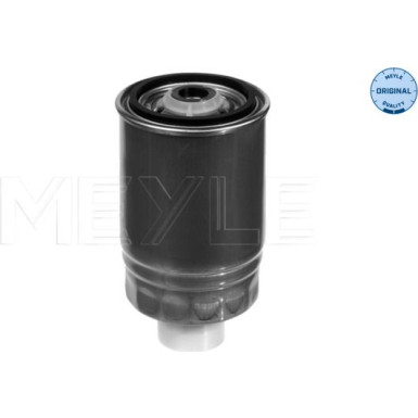 Kraftstofffilter Vw Diesel (Geschraubt) 100 127 0005