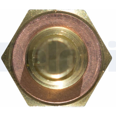 DELPHI Temperatursensor TS10250