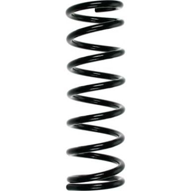 SPIDAN Fahrwerksfeder 49302