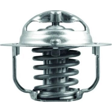 Thermostateinsatz mit Dichtung TX 208 88D