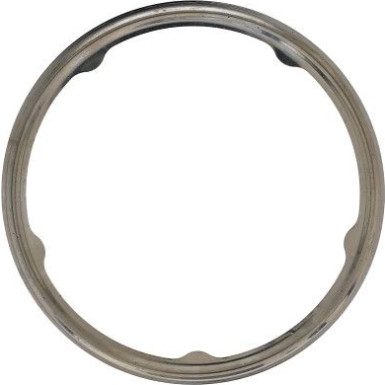Dichtung, Abgasrohr 642.960