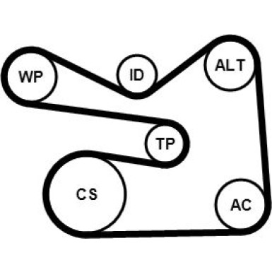 Continental CTAM Timing-Kit 6PK1733WP3 Continental CTAM Timing-Kit 6PK1733WP3