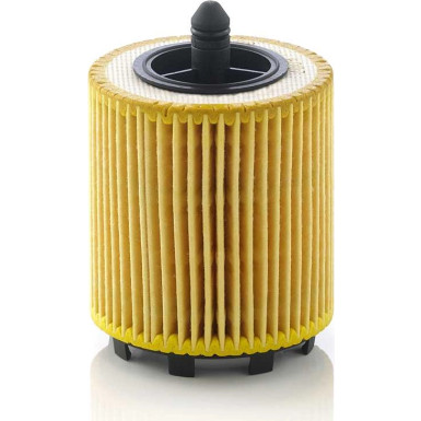 Mann & Hummel Ölfilter PKW HU 6007 X Mann & Hummel Ölfilter PKW HU 6007 X