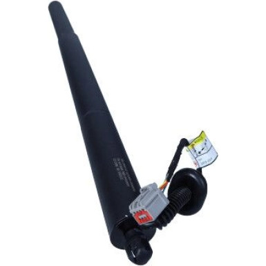 Gasfeder, Koffer-/Laderaum 243588