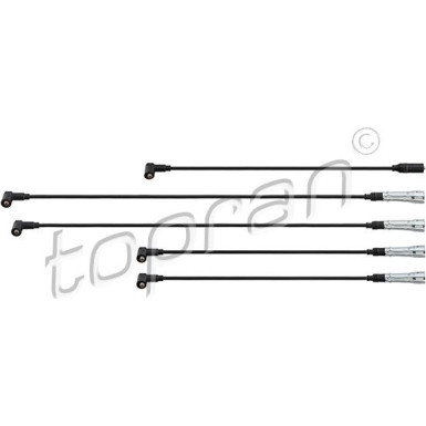 Zündleitungssatz 100 192