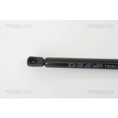 Gasfeder, Motorhaube 871029120