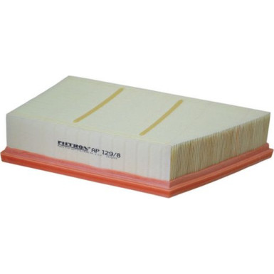 FILTRON Luftfilter AP 129/8