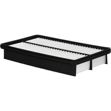 FILTRON Luftfilter AP 113/1