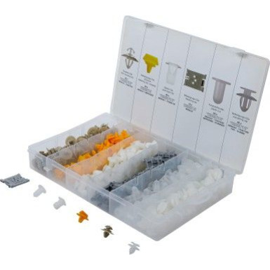 BGS Kfz-Befestigungsclip-Sortiment für Renault 300-tlg 9048