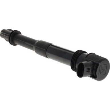 Zündspule 245116