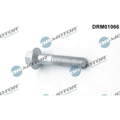 DR.MOTOR Schraube, Einspritzdüsenhalter DRM01066 DR.MOTOR Schraube, Einspritzdüsenhalter DRM01066