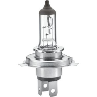 HELLA Glühlampe, Nebelscheinwerfer 8GJ 002 525-251 Heavy Duty