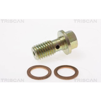 Bremsschlauch 815016308