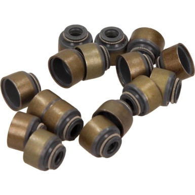 Dichtungssatz Ventilschaft 12-54169-02 Dichtungssatz Ventilschaft 12-54169-02