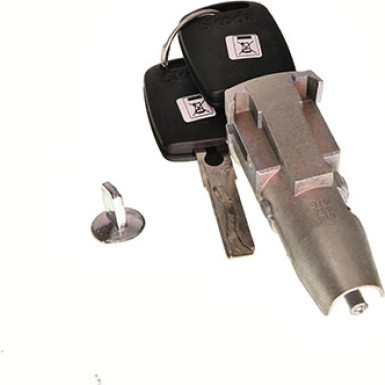 Original VAG Einbau Des Türschlosses Skoda Octavia 97-11 6Y0898167E