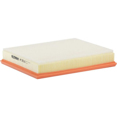 FILTRON Luftfilter AP 051/6