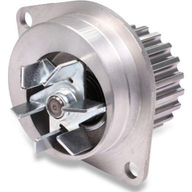 HEPU Wasserpumpe P812