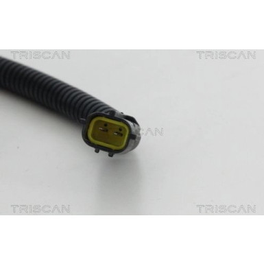 Sensor, Raddrehzahl 818043192