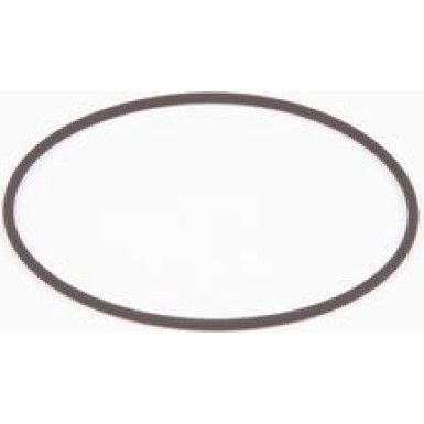 O-Ring Diverse F 01M 100 371