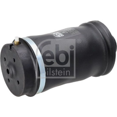FEBI BILSTEIN Kühlerlüfterkupplung 17850