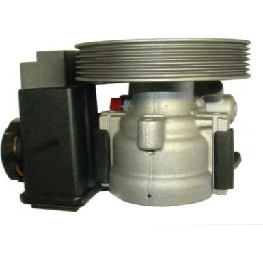 SPIDAN Hydraulikpumpe 53928 SPIDAN Hydraulikpumpe 53928