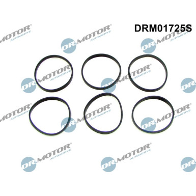 DR.MOTOR Dichtungssatz, Ansaugkrümmer DRM01725S