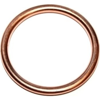Dichtring 813.184
