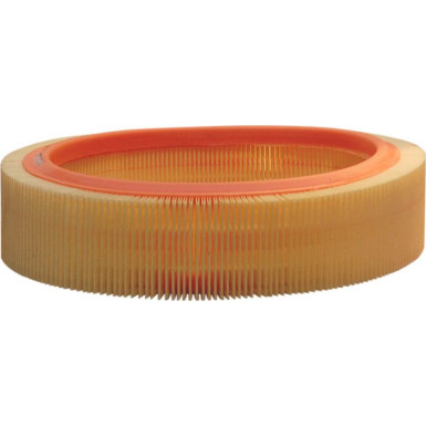 FILTRON Luftfilter AR 229