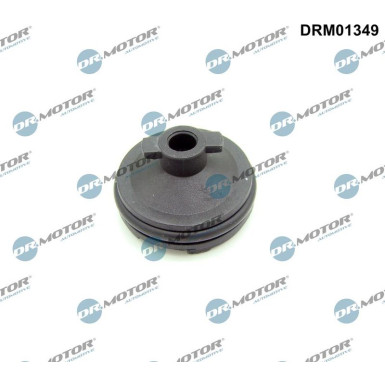 VERSCHLUSSSCHRAUBE, ÖLWANNE DRM01349