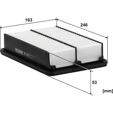 FILTRON Luftfilter AP 197/5