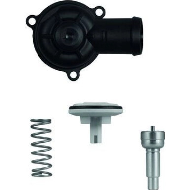 Integralthermostat mit Dichtung TI 220 87D